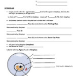 The Cell Cycle Worksheet The Cell Cycle And The Steps Of Cell Division