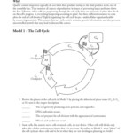 30 Cell Cycle Worksheet Answers Education Template