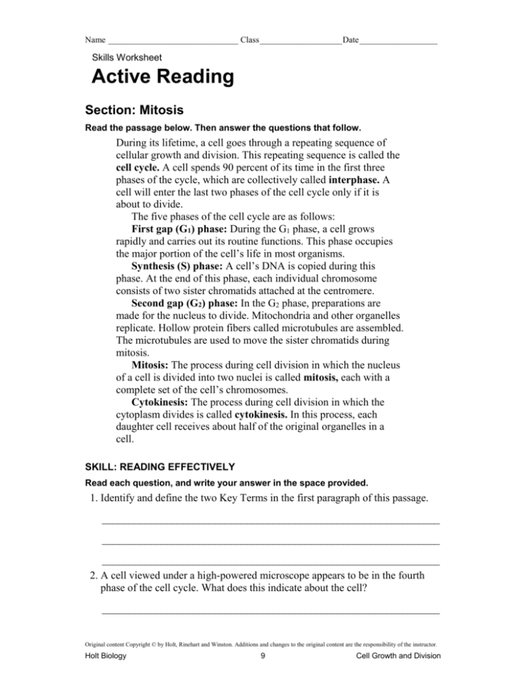 Cell Division Reading Comprehension Worksheet Mitosis And Meiosis