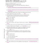 Chapter 10 Cell Growth And Division Worksheet Answer Key