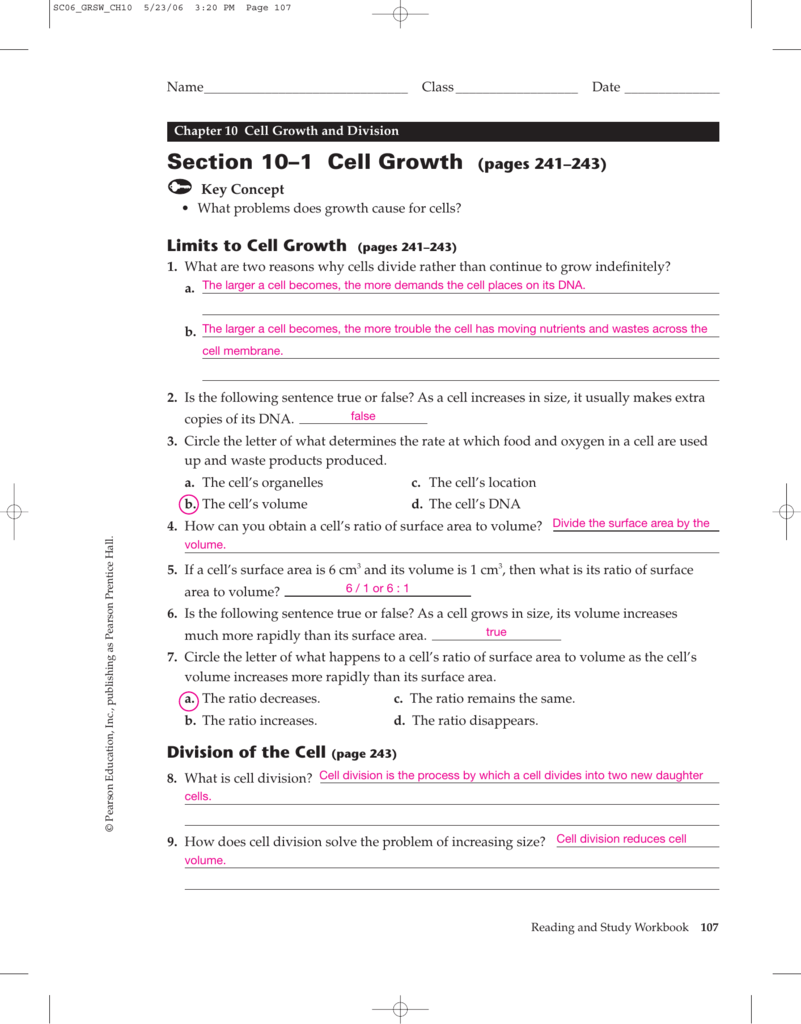 Chapter 5 Cell Growth And Division Answer Key Athens Mutual Student 