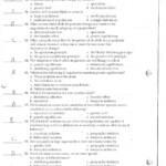Chapter 8 From Dna To Proteins Worksheet Answer Key Waltery Learning