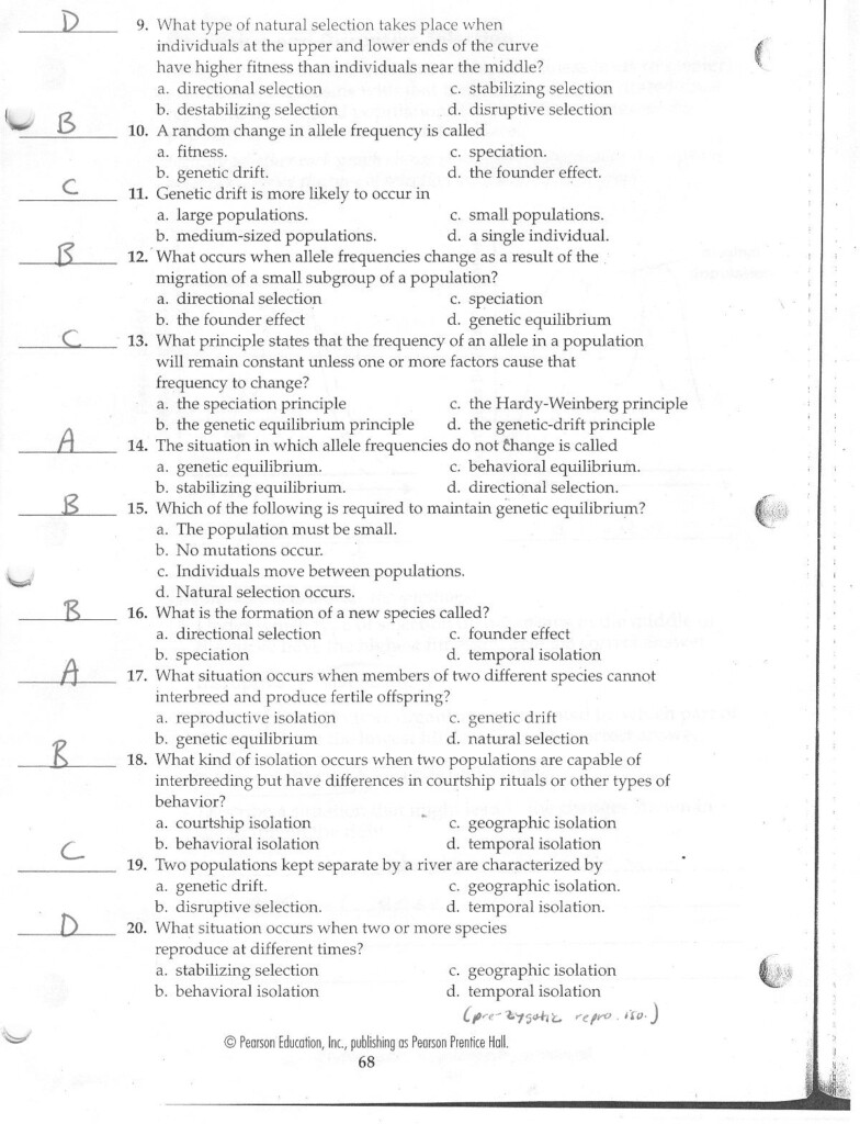 Chapter 8 From Dna To Proteins Worksheet Answer Key Waltery Learning 