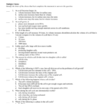 Holt Biology Cell Growth And Division Worksheet Answers