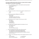Holt Biology Cell Growth And Division Worksheet Answers Worksheet List